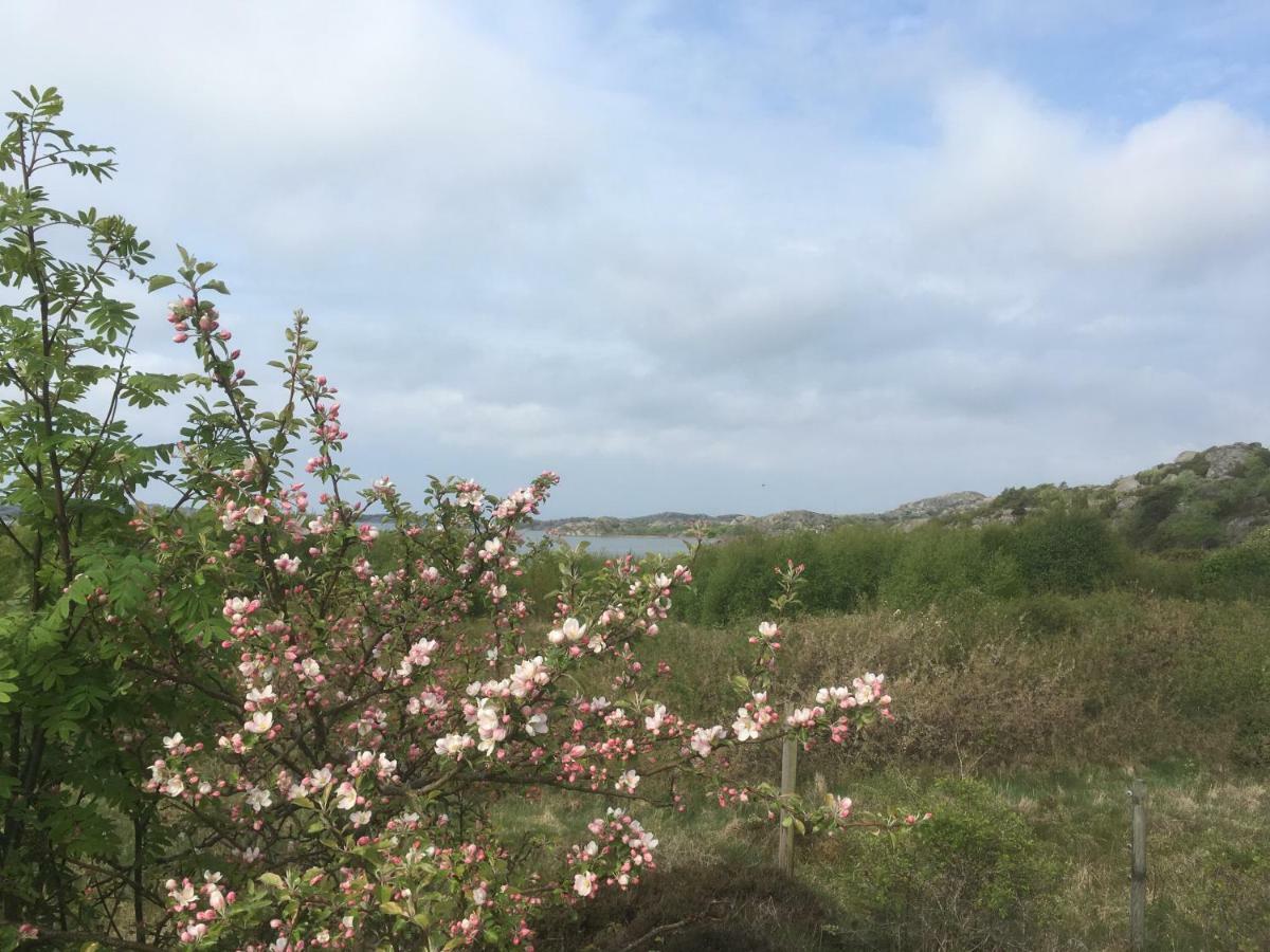 Stuga I Naturskoent Omrade Pa Vaestra Tjoern Saby Dış mekan fotoğraf
